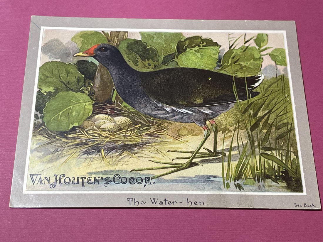 VICTORIAN TRADE CARD #506.: VICTORIAN TRADE CARD #506. (ONLY ONE SHIPPING FEE OF $5 ON TRADE CARDS, WHETHER YOU WIN 1 CARD OR 100 CARDS)