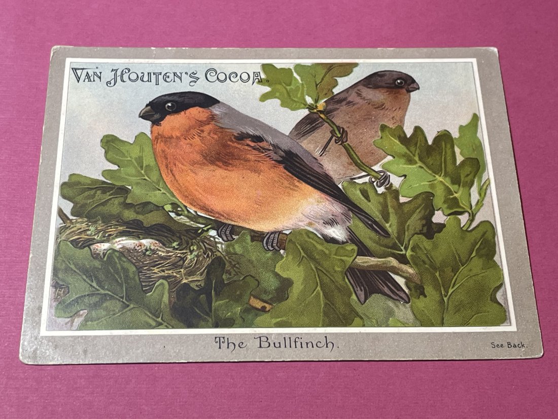 VICTORIAN TRADE CARD #509.: VICTORIAN TRADE CARD #509. (ONLY ONE SHIPPING FEE OF $5 ON TRADE CARDS, WHETHER YOU WIN 1 CARD OR 100 CARDS)