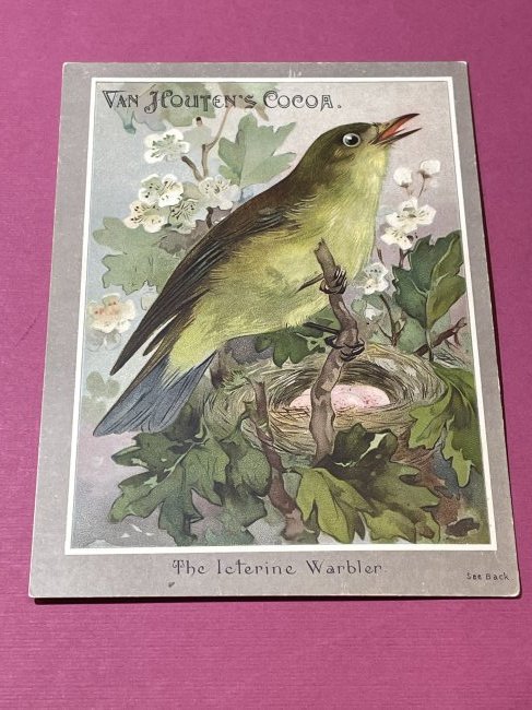 VICTORIAN TRADE CARD #510.: VICTORIAN TRADE CARD #510. (ONLY ONE SHIPPING FEE OF $5 ON TRADE CARDS, WHETHER YOU WIN 1 CARD OR 100 CARDS)