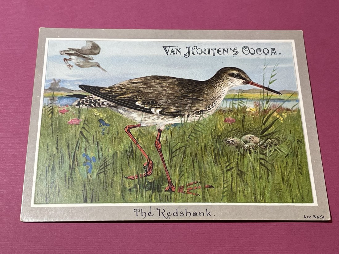 VICTORIAN TRADE CARD #511.: VICTORIAN TRADE CARD #511. (ONLY ONE SHIPPING FEE OF $5 ON TRADE CARDS, WHETHER YOU WIN 1 CARD OR 100 CARDS)