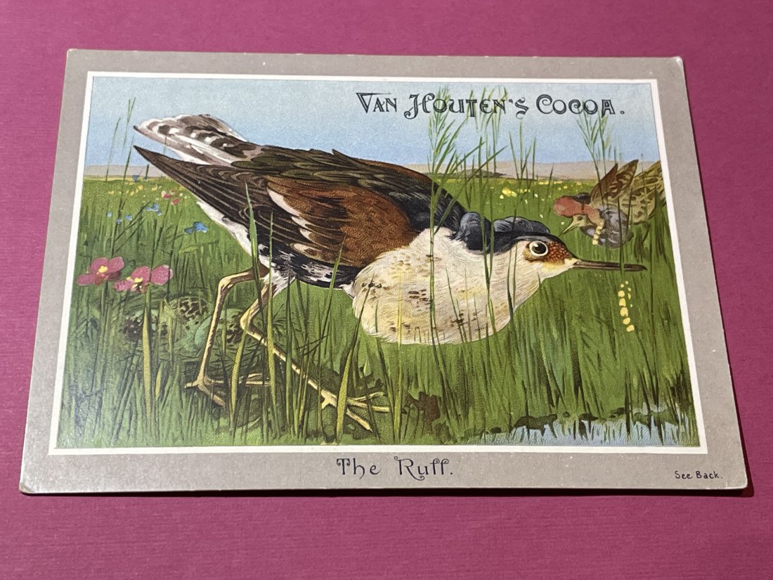 VICTORIAN TRADE CARD #512.: VICTORIAN TRADE CARD #512. (ONLY ONE SHIPPING FEE OF $5 ON TRADE CARDS, WHETHER YOU WIN 1 CARD OR 100 CARDS)