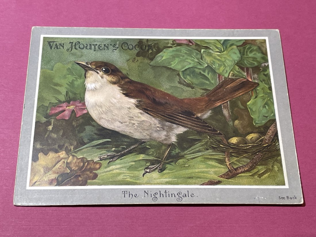 VICTORIAN TRADE CARD #513.: VICTORIAN TRADE CARD #513. (ONLY ONE SHIPPING FEE OF $5 ON TRADE CARDS, WHETHER YOU WIN 1 CARD OR 100 CARDS)
