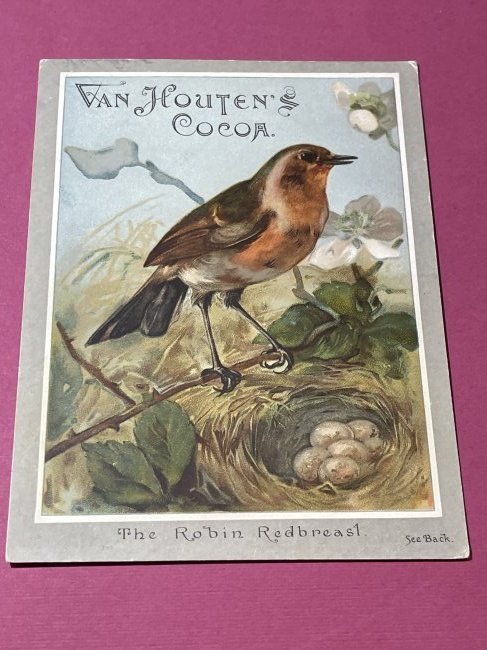 VICTORIAN TRADE CARD #514.: VICTORIAN TRADE CARD #514. (ONLY ONE SHIPPING FEE OF $5 ON TRADE CARDS, WHETHER YOU WIN 1 CARD OR 100 CARDS)