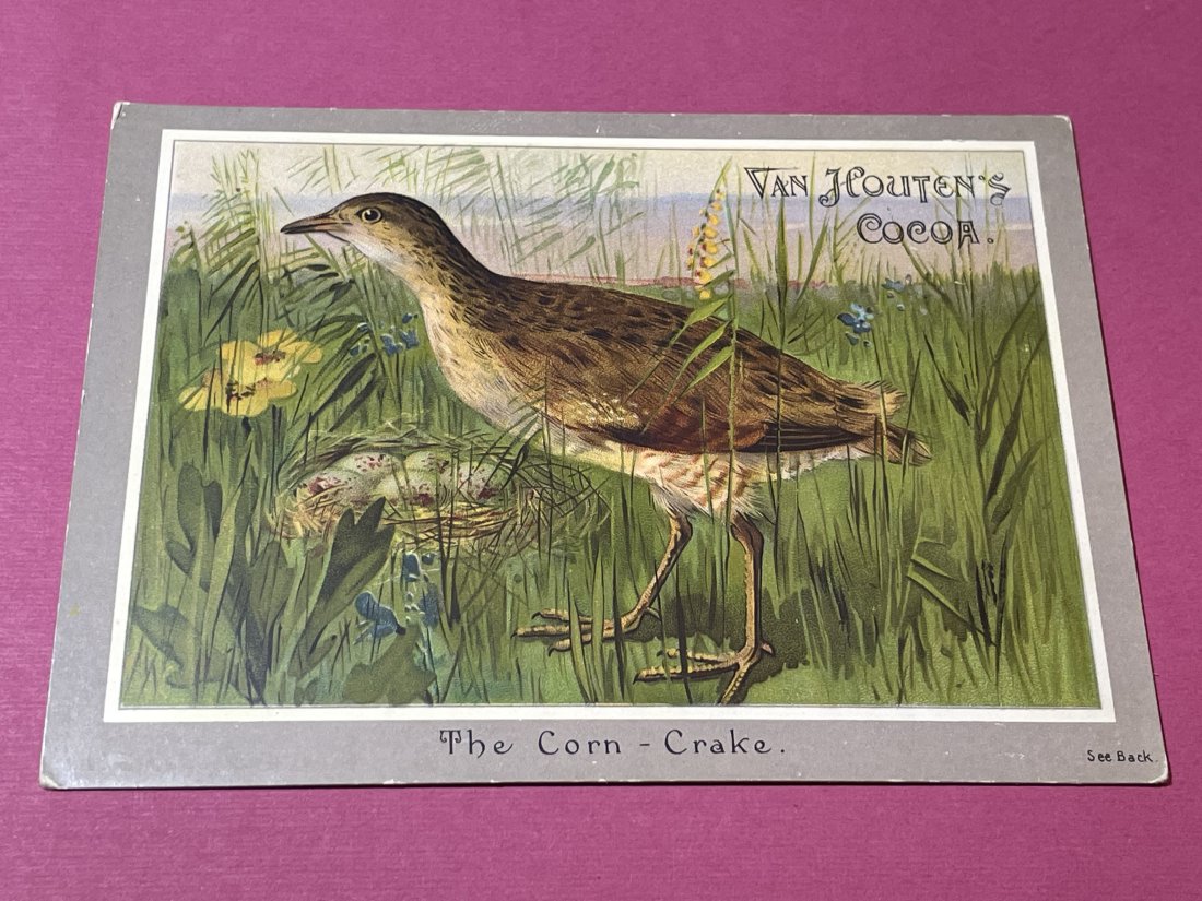 VICTORIAN TRADE CARD #515.: VICTORIAN TRADE CARD #515. (ONLY ONE SHIPPING FEE OF $5 ON TRADE CARDS, WHETHER YOU WIN 1 CARD OR 100 CARDS)