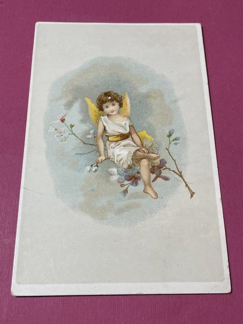 VICTORIAN TRADE CARD #533.: VICTORIAN TRADE CARD #533. (ONLY ONE SHIPPING FEE OF $5 ON TRADE CARDS, WHETHER YOU WIN 1 CARD OR 100 CARDS)
