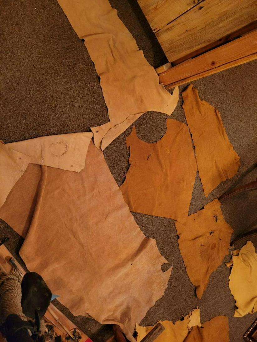 Assorted partial tanned deer hides (1 of 5)