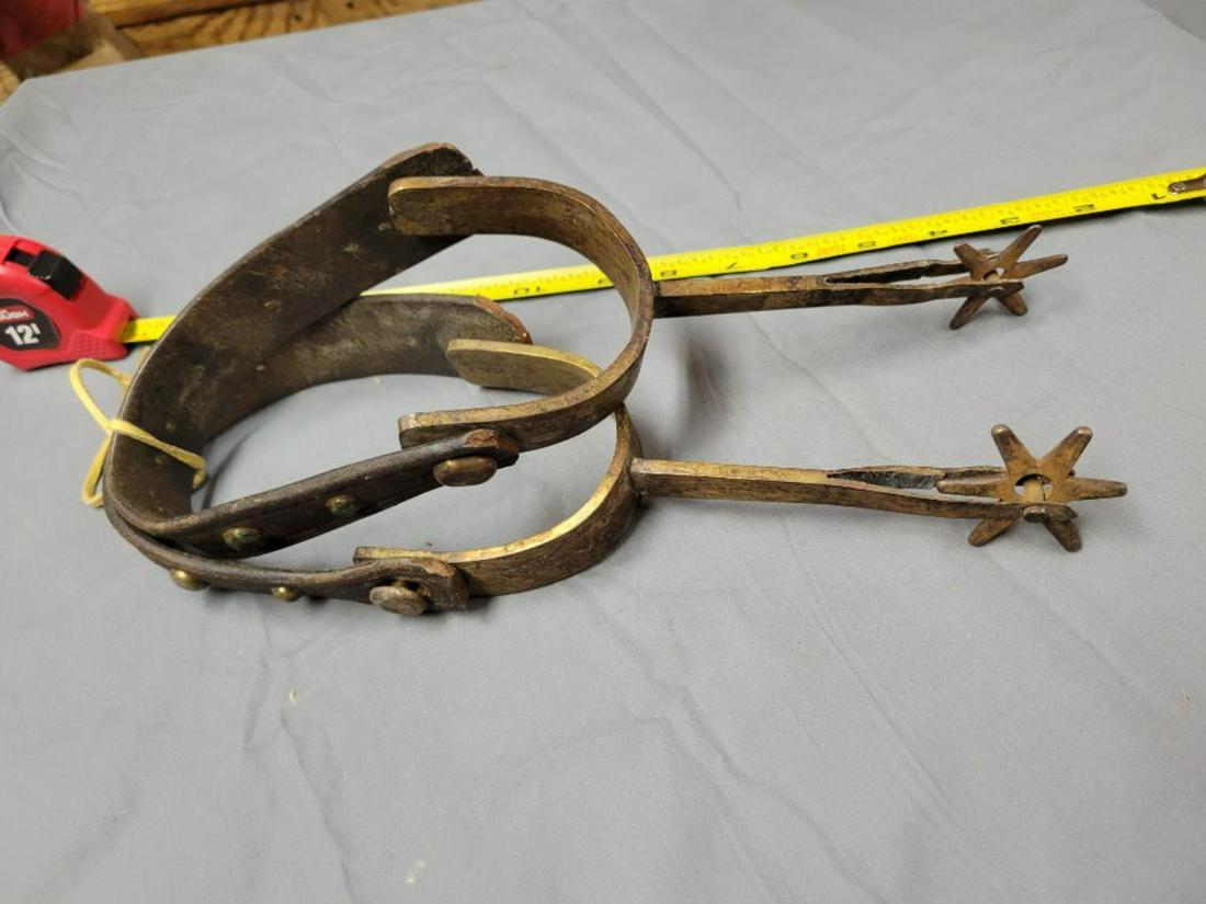 Pair of brass engraved vintage jousting spurs with leather straps: .