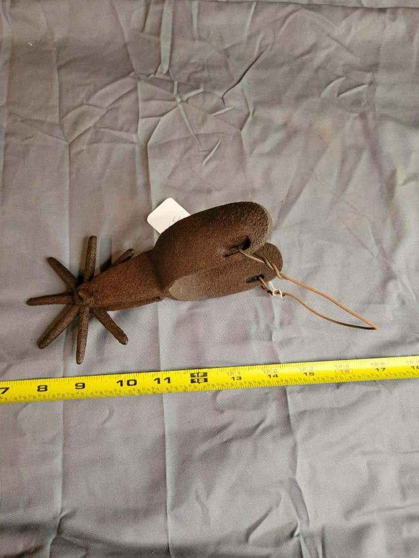 Mexican Iron Spur (1 of 4)