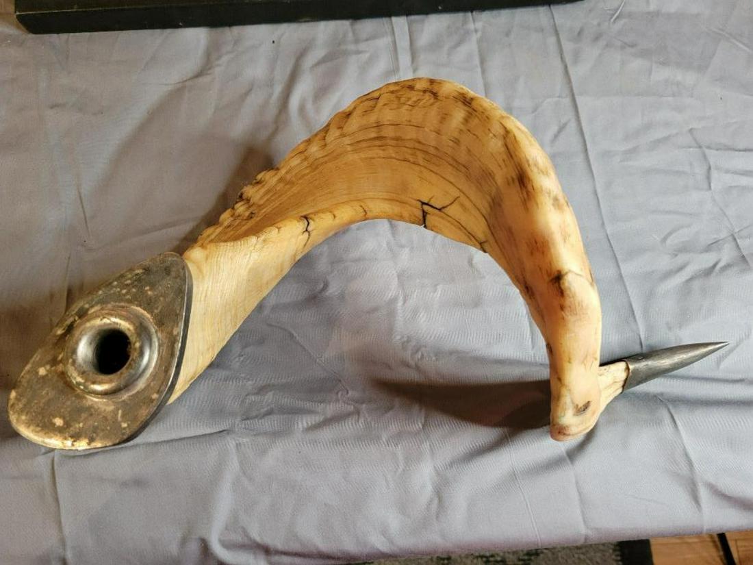 Longhorn Sheep Horn candle holder (1 of 9)