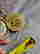 item-131816903=15
