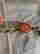 item-131816903=5