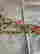 item-131816903=6
