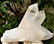 623 Grams Natural Termianted Healing Quartz - 4
