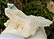 623 Grams Natural Termianted Healing Quartz - 5