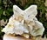 973.8 Grams Natural Termianted Healing Quartz - 3