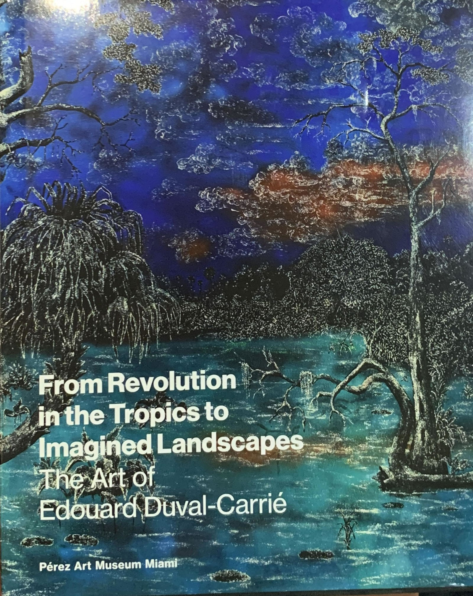 From Revolucion in the Tropics to Imagined Landscapes. (1 of 2)