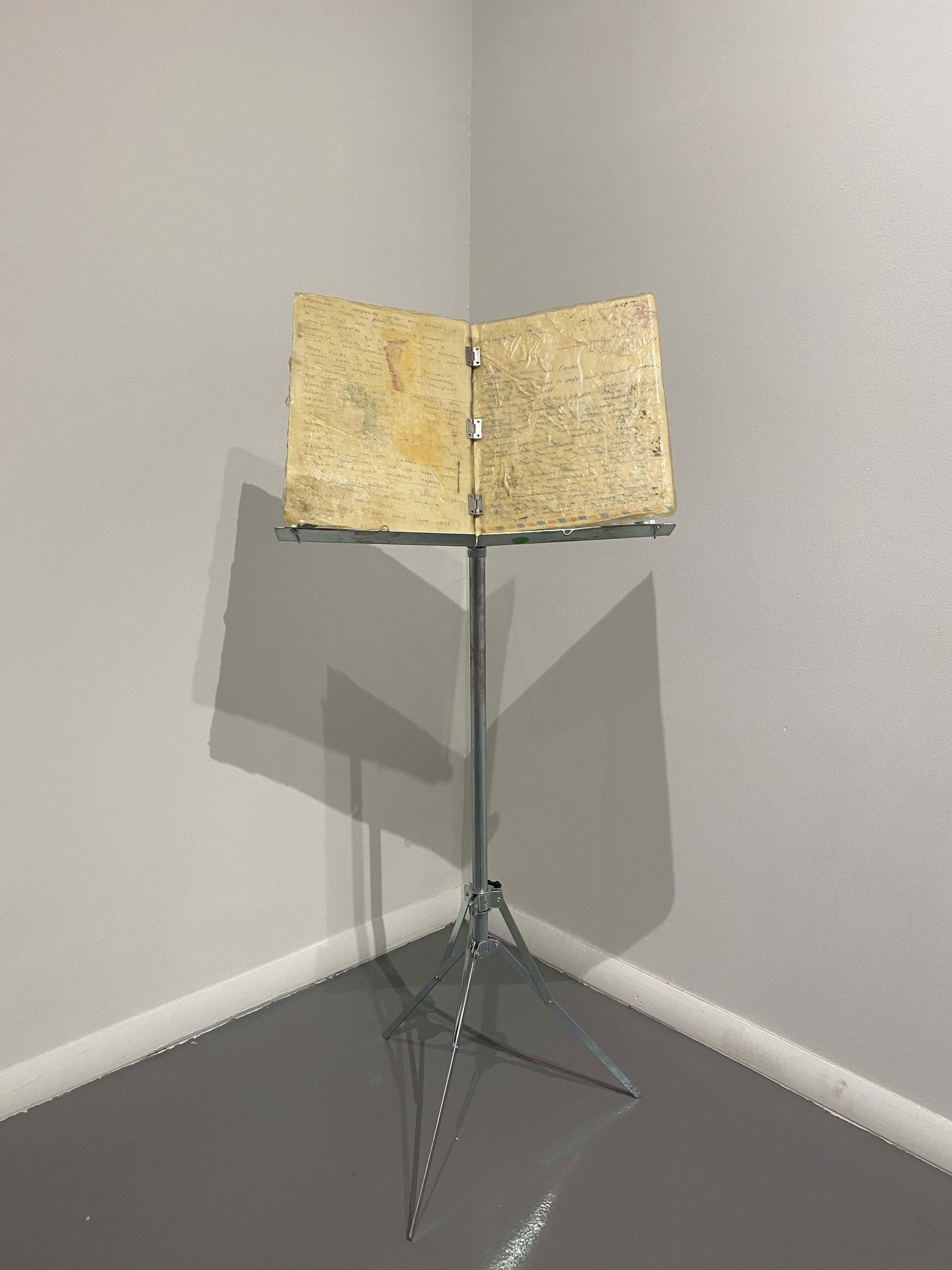 Carlos Gallardo, Finale X V, 2003 (1 of 1)