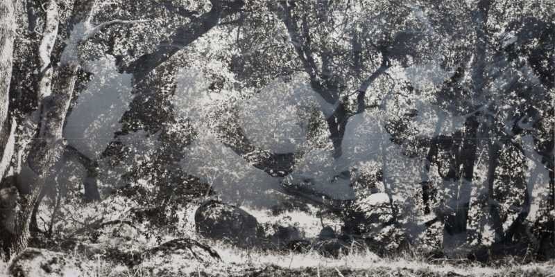 Joe Goode. Untitled, 2011-2012: Photograph with artist intervention, 48 x 96 in. The photograph is on wood support. Signed and dated verso. Unique. Provenance: The artist