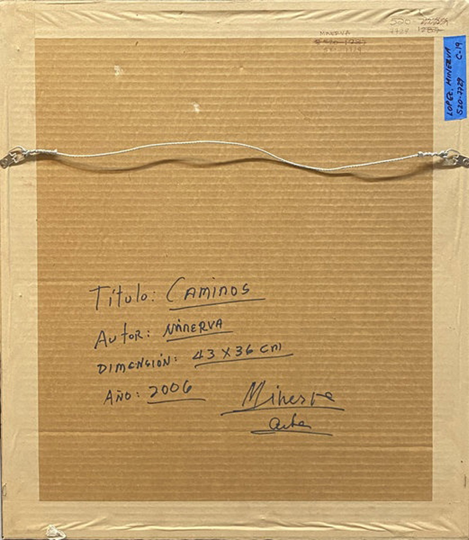 Minerva Lopez, Abstraction, 2006 - 3