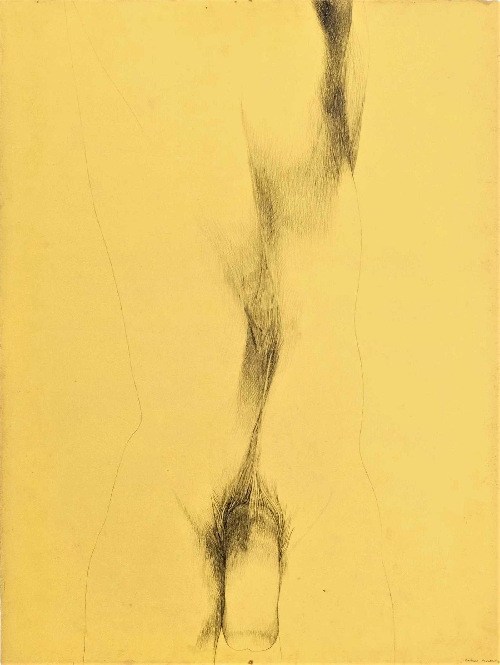 Servando Cabrera Moreno (Cuba) (1923-1981). Fabio, 1972: Ink on paper, 28 x 18.50 in. Unframed. Signed and dated recto lower right. Provenance: Casa Kholy, Havana.