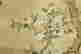 item-82931925=4