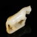 CHINESE JADE CARVED HORSE SHAPED TABLE ITEM - 5