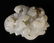 A SET OF CHINESE JADE CARVED BELT BUCKLE AND PLAQUE - 8