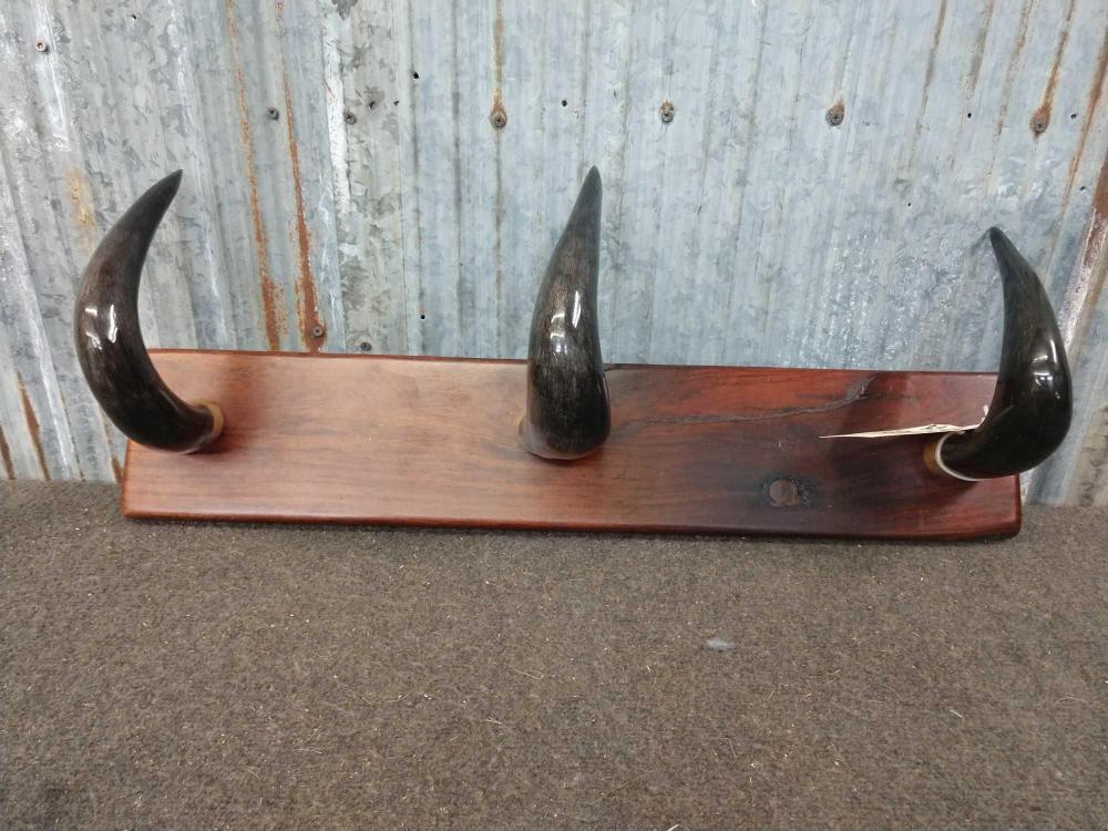 African Wildebeest Horn Coat Hanger: African Wildebeest Horn Coat Hanger 22.25 On African hardwood Taxidermy