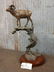 Spectacular Bighorn Sheep Bronze