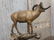 Spectacular Bighorn Sheep Bronze - 8
