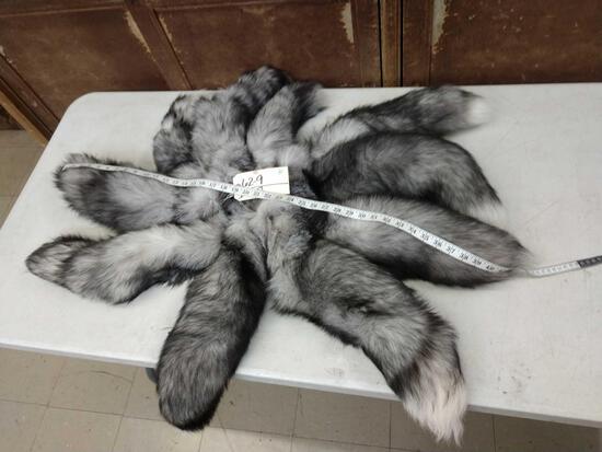 10 Big Bushy Silver Ranch Fox Tails: 62.9 Thick prime fur