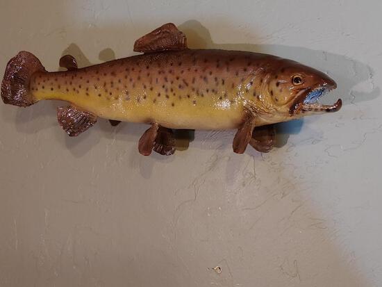20" Brown Trout Real Skin Fish Taxidermy: 8.32