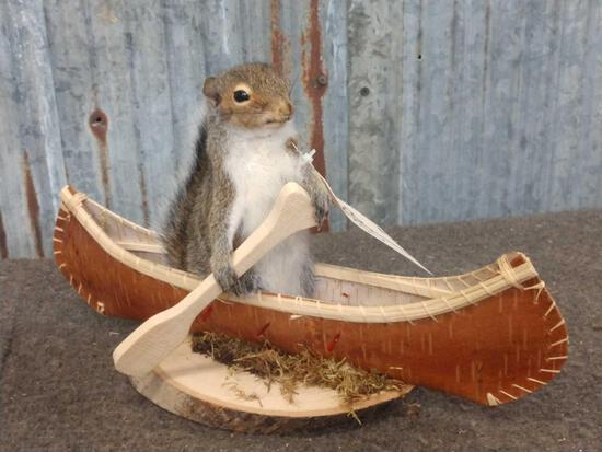 Squirrel In A Birch Bark Canoe: 36.28 New mount