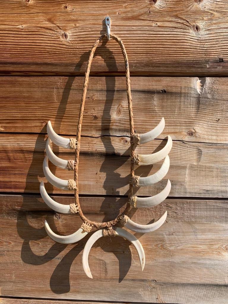 Warrior Chiefs Necklace: 62.98 Hand made with Wild Boar Tusks all between 5" and 6 inches long. Displays at about 21" tall and 12" wide. Hand woven cord.