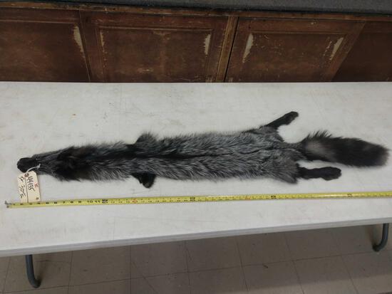 Soft tanned silver fox fur Taxidermy: 44.135 thick prime fur big bushy tail beautiful color brand new