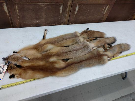 3 Soft Tanned Red Fox Furs: 44.70 all with feet intact pretty colors