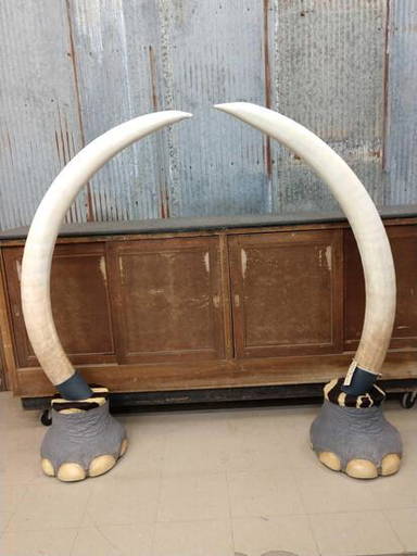 Top Quality Reproduction Elephant Tusks Taxidermy - Mar 20, 2021