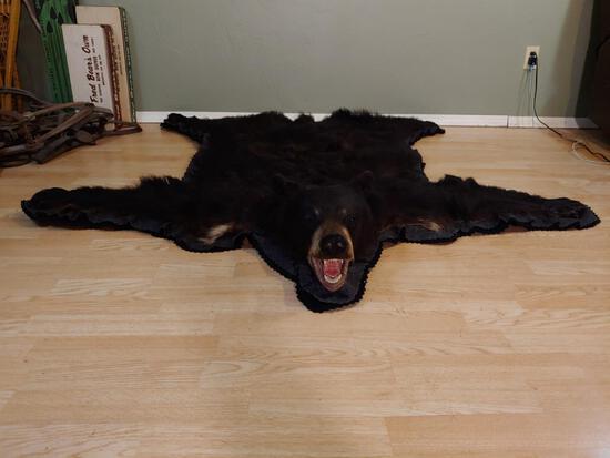 Black Bear Rug Taxidermy: 24.8 Nice all real claws intact cool white blaze on chest overall dimensions about 68" long x 68" wide