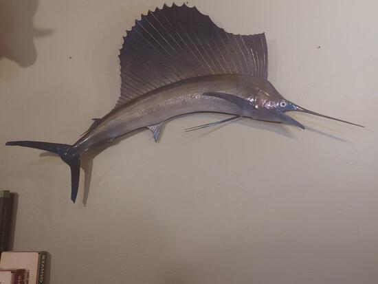 77 1/2" Sail Fish Taxidermy: 24.3 Outstanding Artwork nice mount overall dimensions about 49" tall x 76" wide