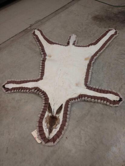 Piebald Whitetail Doe Rug Taxidermy: 1.46 Very unusual piece to find nicely done with double gathered felt edges & padded backing with D rings for hanging overall dimensions about 69" long x 50" wide