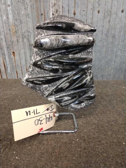 Fossilized Orthoceras Plate on Stand: 44.30 relieved from Moroccan fossil slab bed and Polished to a high Sheen this specimen is between 190 and 500 million years old
