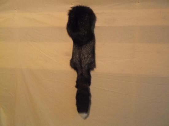 Silver Fox Fur Mountain Man Hat Taxidermy: 15.5 Thick prime fur professionally done with liner