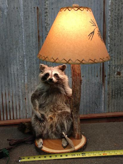 Raccoon End Table Lamp Taxidermy: 61.21 brand new piece nice