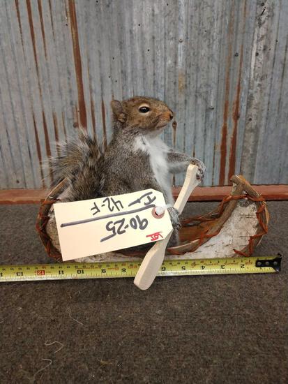 Squirrel In A Birch Bark Canoe Taxidermy: 90.25 Brand New mount