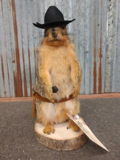 Gunslinger Squirrel Full Body Taxidermy: 90.17 Brand New mount