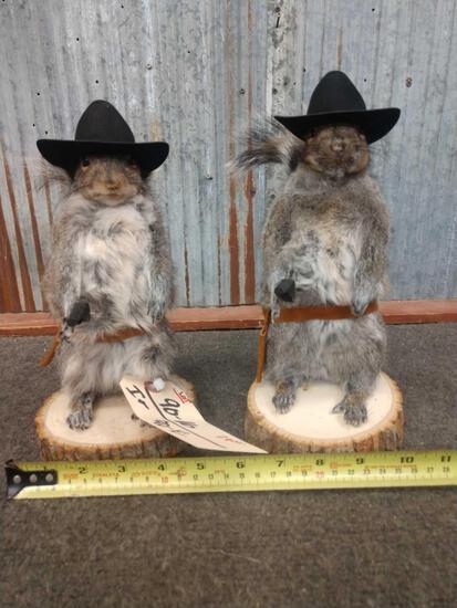 2 Gunslinger Squirrels Taxidermy Mounts: 90.16 Brand New Mounts you get TWO mounts for one price