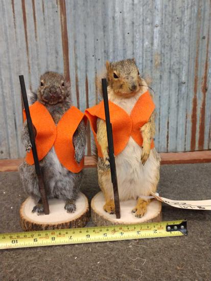 Pair Of Hunting Squirrels: 90.22 Both brand new you get TWO mounts for one price !