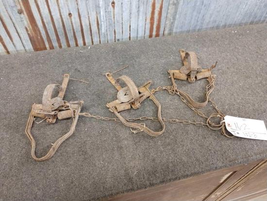 3 Vintage 2 Trigger Victor Stop Loss Traps: 16.2 manufactured circa 1920
