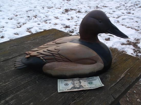 Signed Tom Taber Hand Canvas Back Duck Decoy: 15.84 Hard to find over sized decoy signed by the artist overall about 17.5" x 10" x 9" NICE!