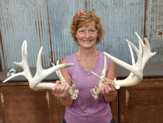 Main Frame 5x5 Whitetail Shed Antlers: 63.54 Right 84" Left 95"